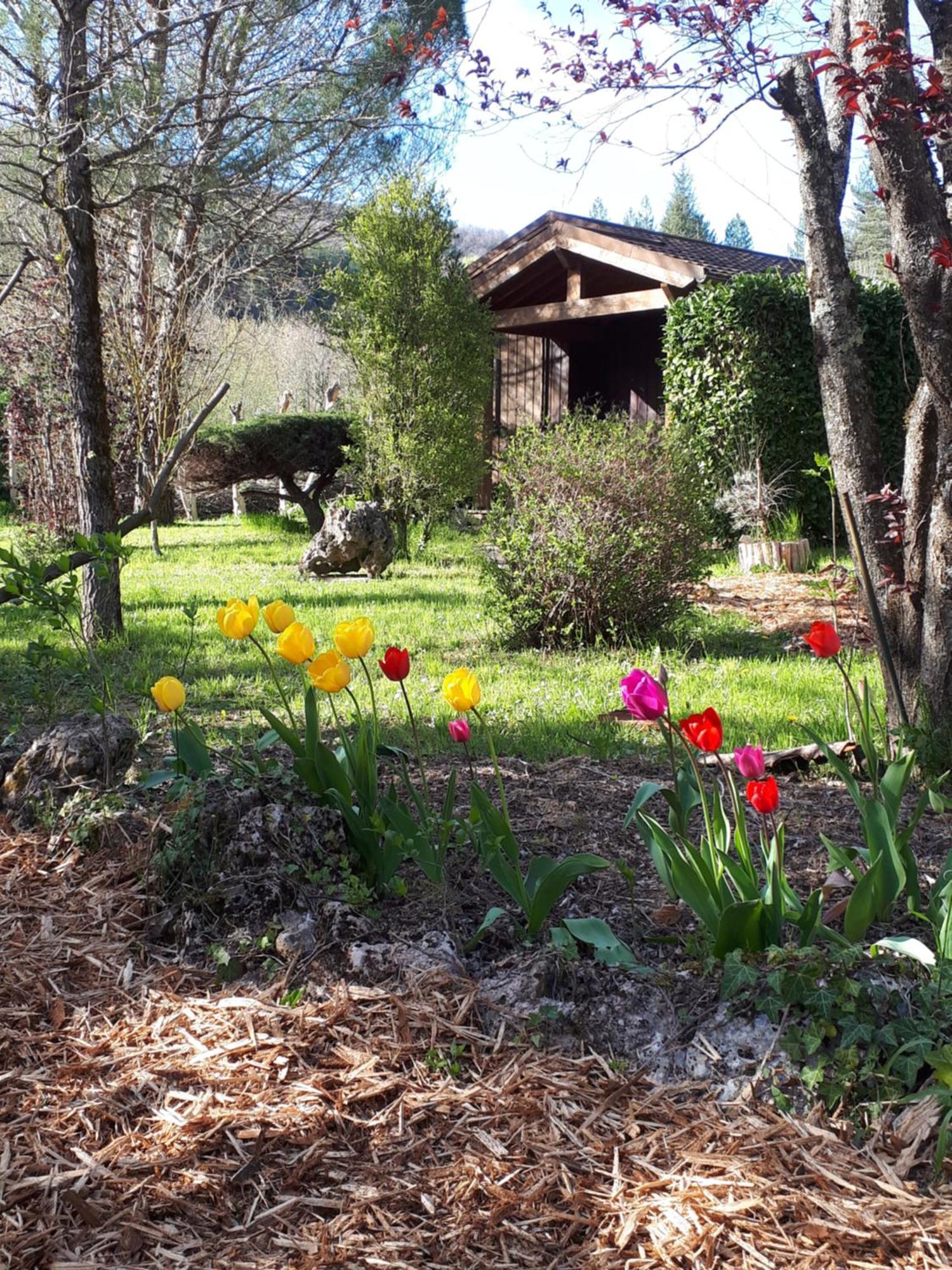Les Chalets Du Roc Alzon Екстер'єр фото